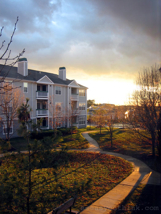 late evening light